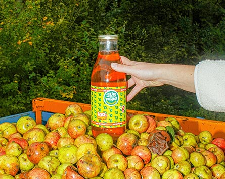 jus de pomme de normandie consommation